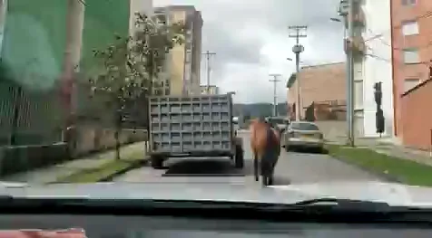 de un caballo