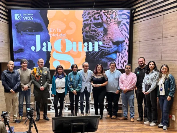 Con la campaña "En la Piel del Jaguar", buscan proteger esta especie en Colombia