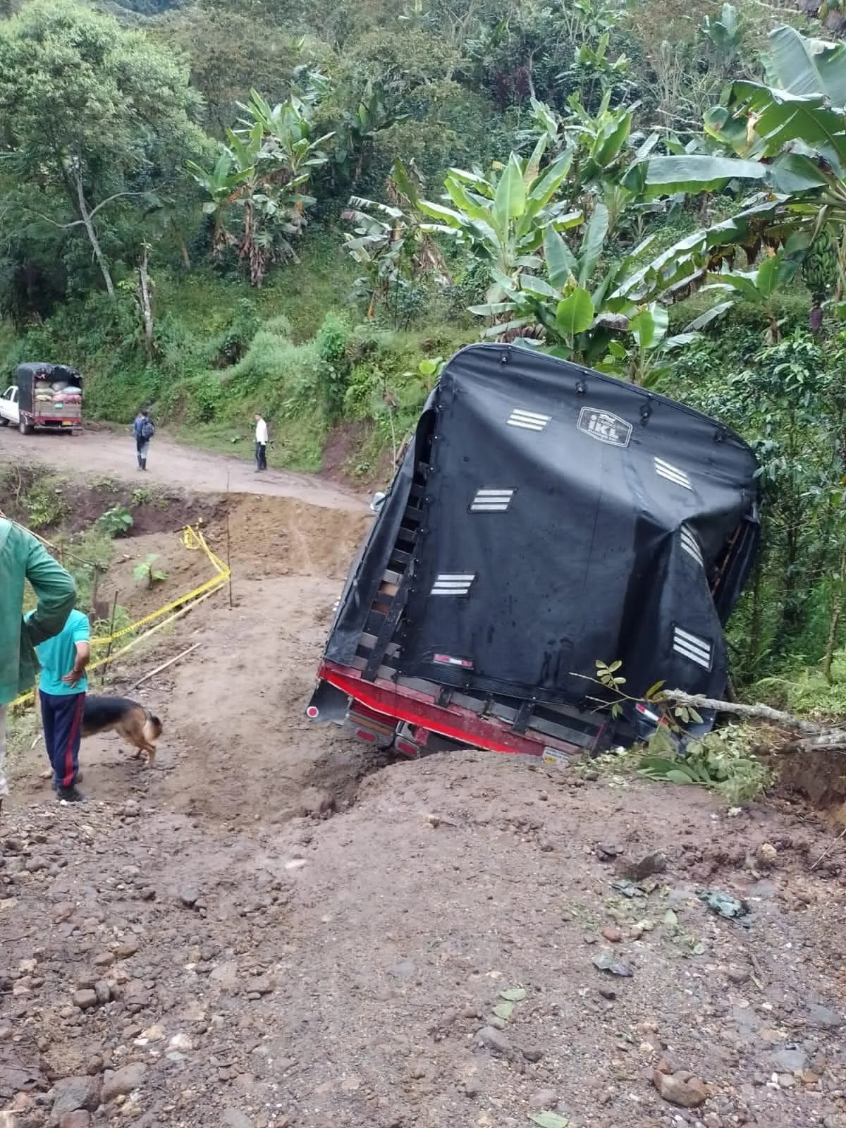 en rosas cauca