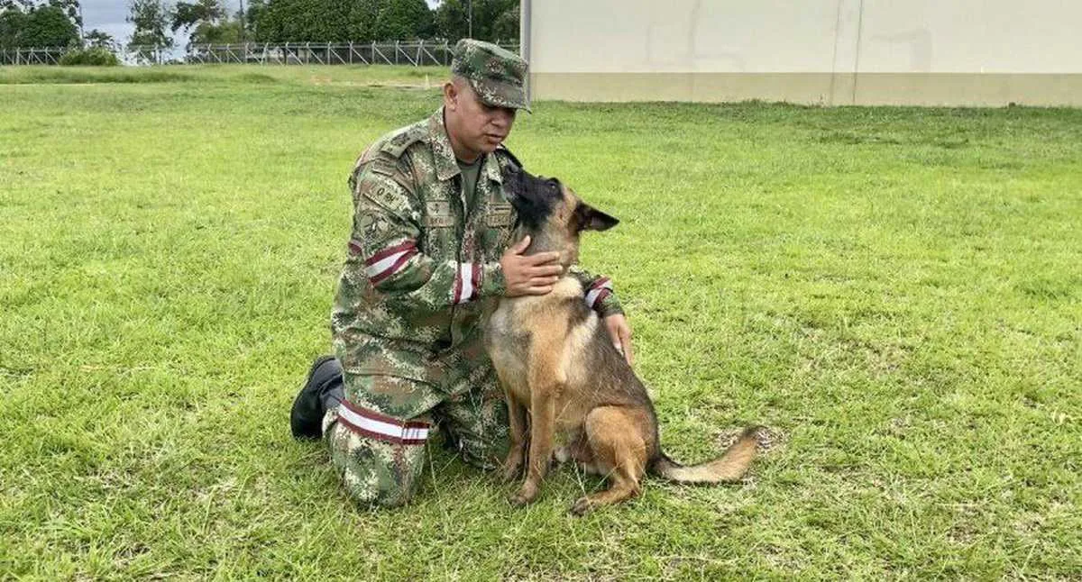 No va más: Ejército "terminó la búsqueda oficial" de Wilson