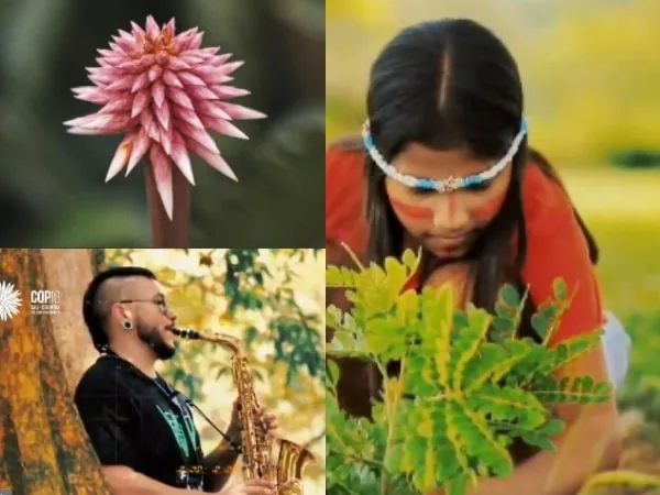 Con música salsa y melodías de la región Pacífica, así suena el himno oficial de la COP16
