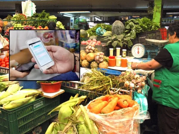 Modernización de las Plazas de mercado en Pasto