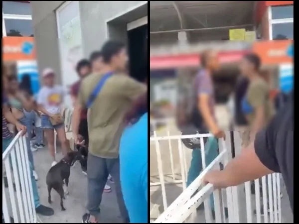 "Por negra hp": Denuncian "racismo y misoginia" con vigilante en Registraduría "no dejó entrar el perro"