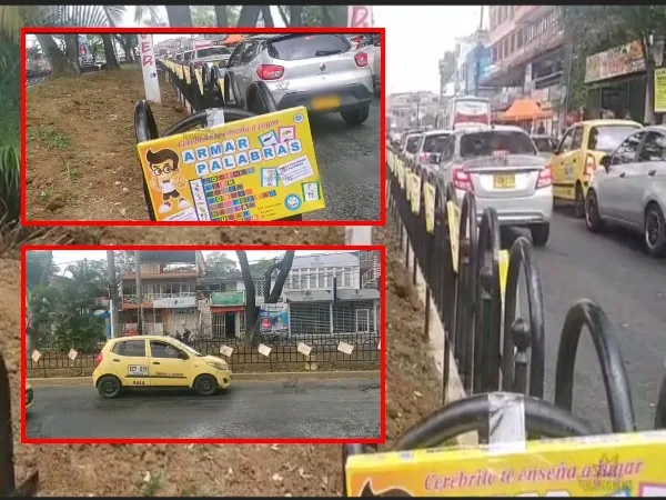 De 'embellecimiento de separadores viales' a "colgandejo de ventas ambulantes" en Villa del Sur