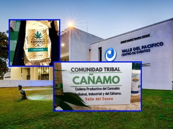 II Cumbre Nacional de Cannabis y Cáñamo en el Valle del Cauca, estas son las fechas