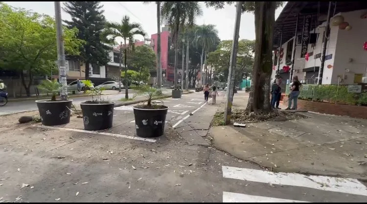 materas en Cali en el Parque del Perro