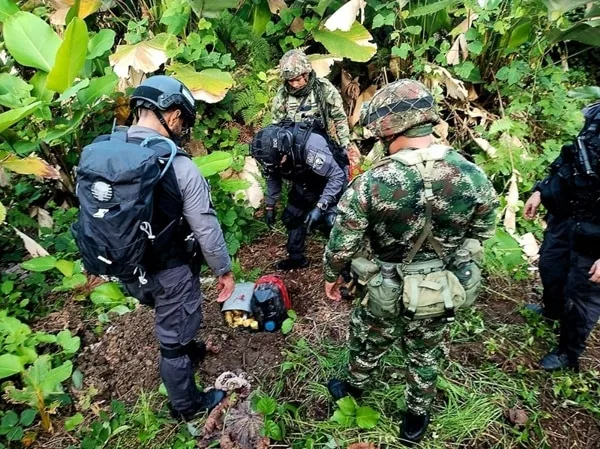 En bolsas y en medio de la maleza hallaron 250 minas para afectar a los campesinos de Tumaco