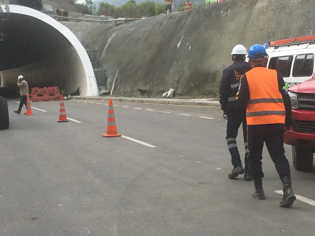 perro abandonado túnel de la línea
