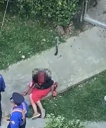 mujer mordida por perros bozal en Pereira
