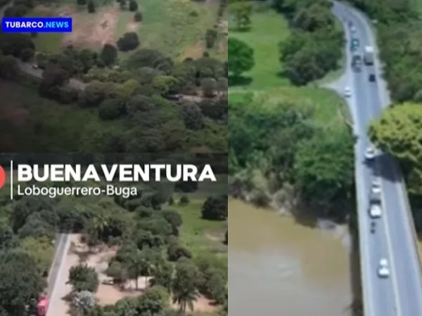 El proyecto 5g, Buga–Buenaventura impulsa la restauración ecológica con la siembra de más de 10.000 árboles