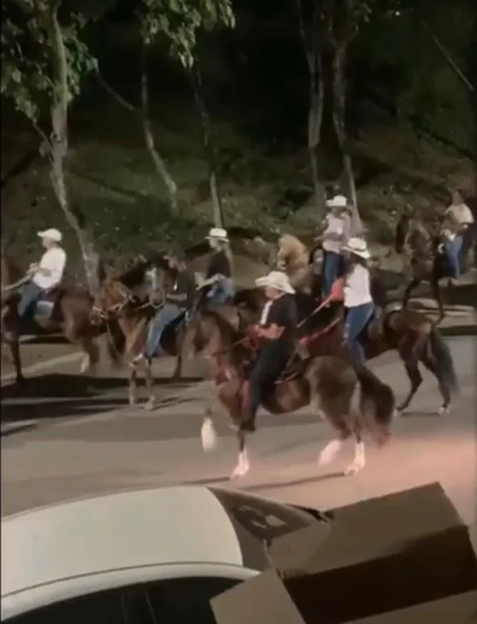 restricciones en Cali indisciplina cabalgata Floralia