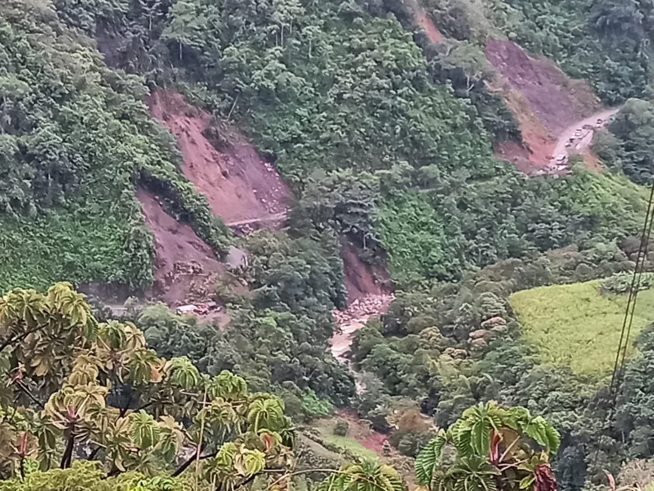 de Risaralda y Chocó