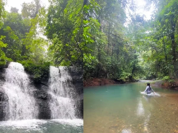 Las aguas cristalinas de la reserva natural venado verde: un paraíso natural cerca de Cali