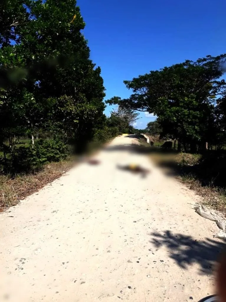 Arauca guerra entre ELN y disidencias