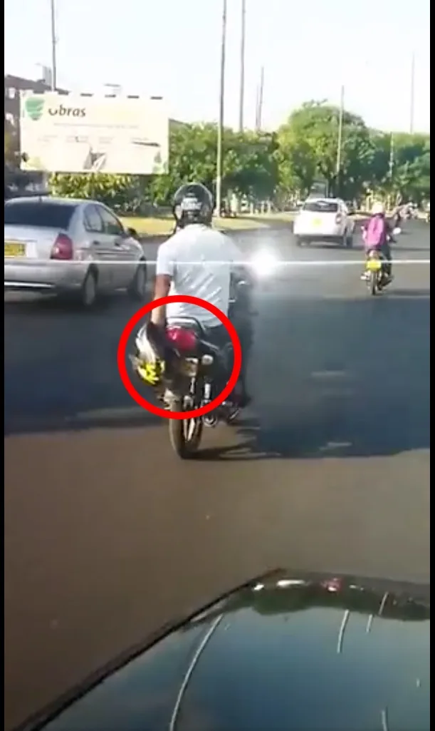 motorizados