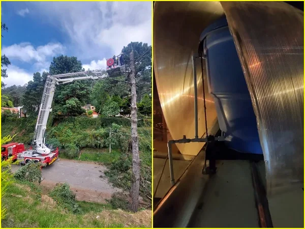 Ráfagas de viento siguen causan estragos en Pasto: arboles, techos y hasta semáforos se han visto afectados