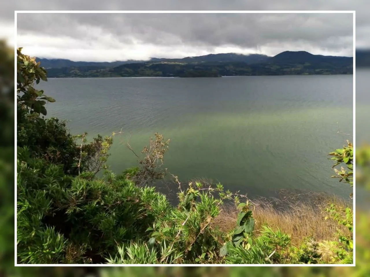 Laguna La Cocha