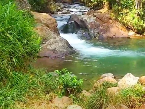 Un paraíso azulado que debes visitar; así puedes llegar a este charco a solo 30 minutas de Cali
