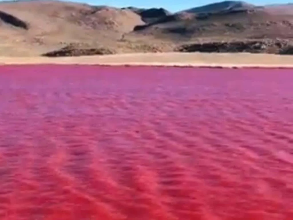 El río Nilo teñido de rojo, lo que muchos han vuelto a relacionar con pasajes bíblicos, sin embargo, científicos explican qué ocurre y por qué cada cierto tiempo cambia a este color. Foto: captura de vídeo redes sociales.