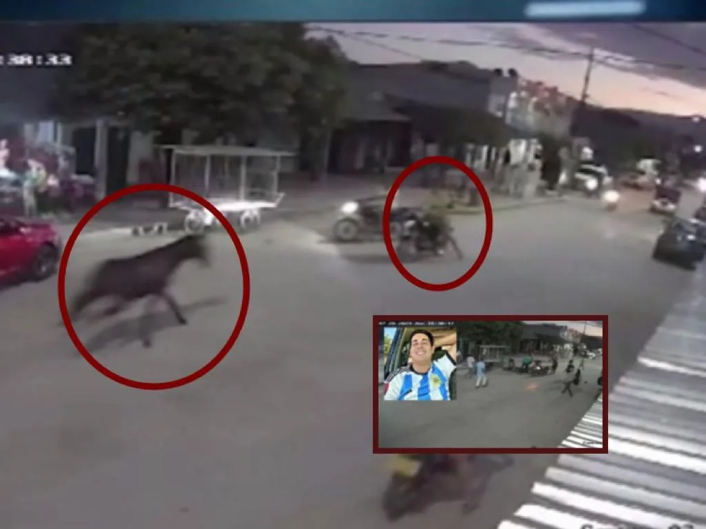 El caballo iba en pura y chocó con el motorizado, en Pueblo Bello