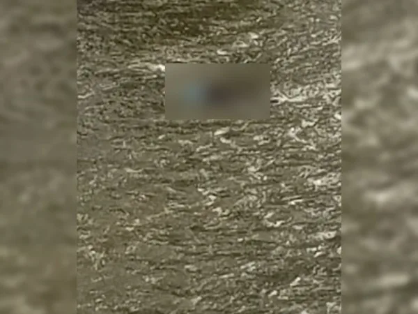 río Cali muerto