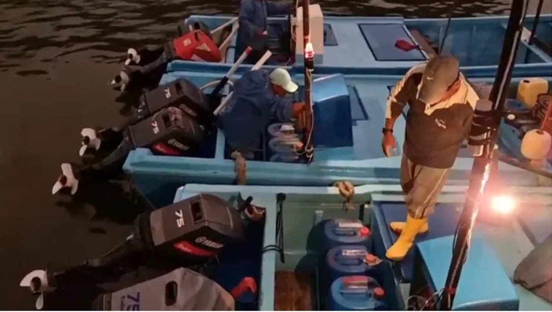pesca extraída ilegalmente
