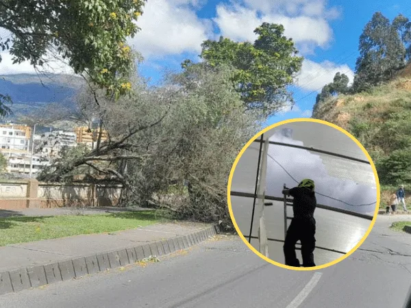 Fuertes vientos en Pasto. Foto: Bomberos Pasto.