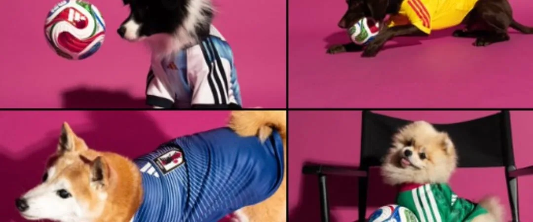 Llegó el Mundial 2026 para las mascotas: lanzan camisetas inspiradas en cuatro selecciones