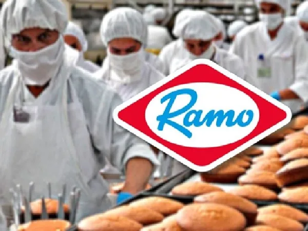 Empleos de la empresa Ramo.
