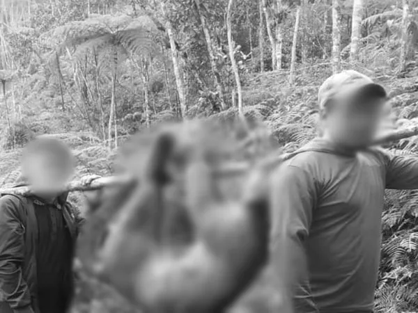 Autoridades condenaron la muerte del puma y advirtieron que con apoyo de la Policía ambiental investigarán el caso para dar con el paradero de los dos responsables.