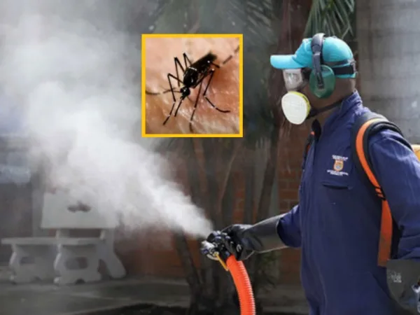 A pesar de la reducción en los casos de dengue en los barrios de Cali piden más fumigación - Si no "colaboramos todos" habría grave epidemia de dengue en el Valle del Cauca