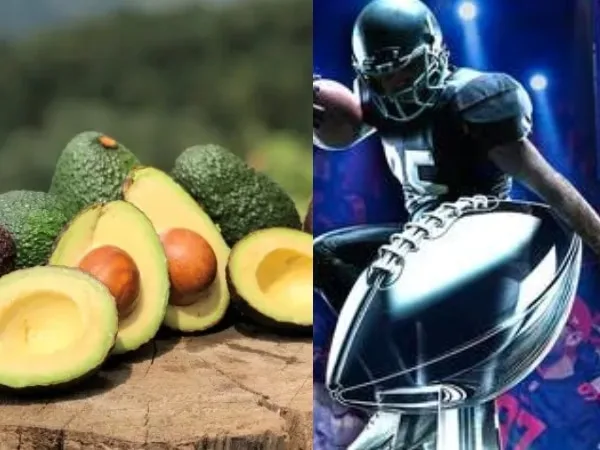 1.500 toneladas de aguacate Hass colombiano deleitarán el Super Bowl 2024