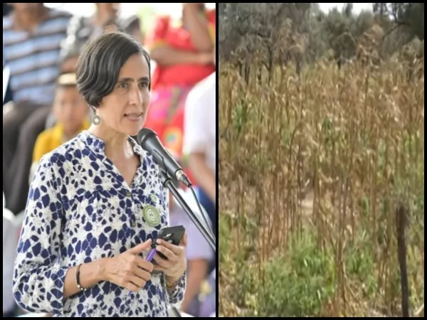 «Estamos en un fenómeno del Niño moderado»: Susana Muhamad, ministra de Ambiente