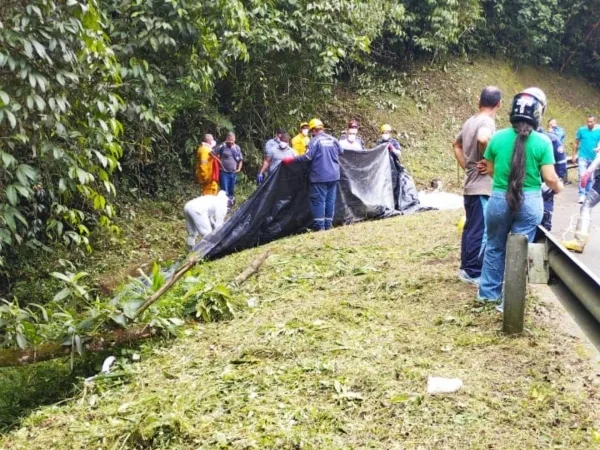 Dos cuerpos en estado de descomposición fueron hallados en el sector de Dagua, Valle.