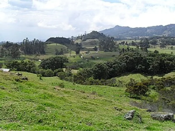 Altiplano de Bogotá.