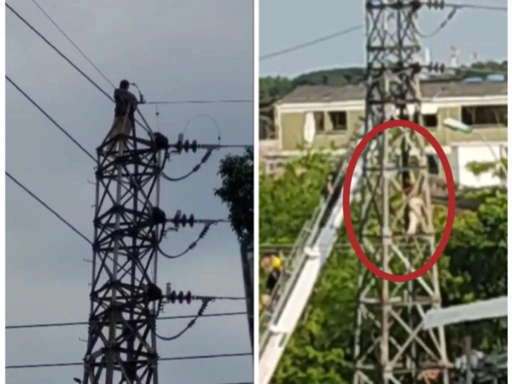 "Se bajó por sus propios medios", habitante de calle escaló toda la torre de energía en Cali