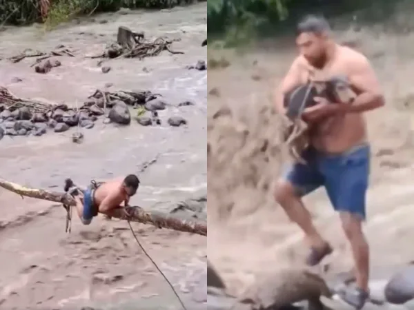 En Ibagué, un hombre se armó de valor y rescató a un perro atrapado en la creciente de un río