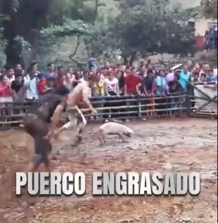 Valle Grande