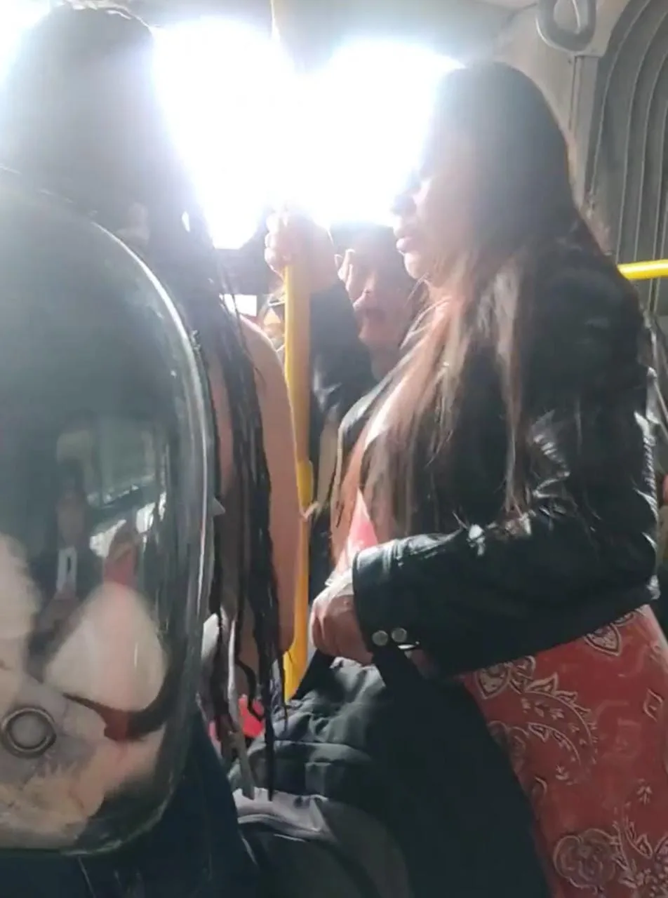 Transmilenio gato pelea mujeres