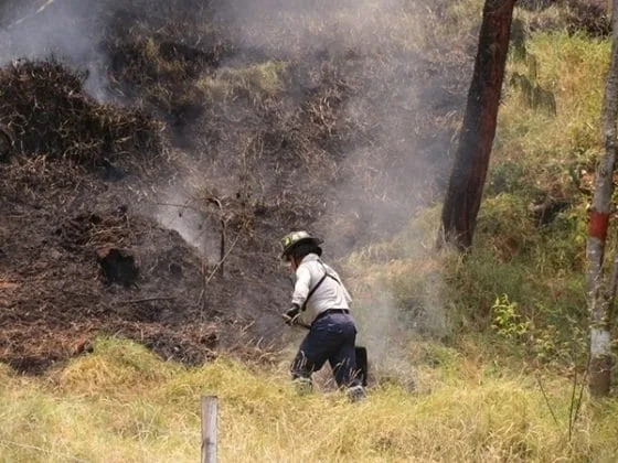 Implicaciones del Fenómeno de El Niño en el Valle del Cauca: declaratoria de calamidad pública.