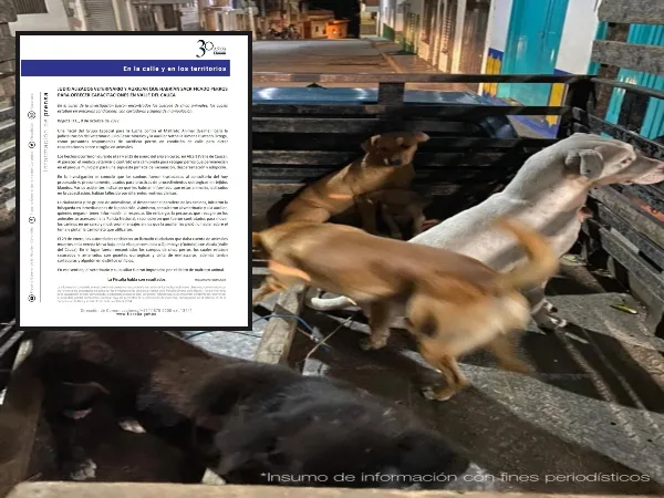 perros Alcalá