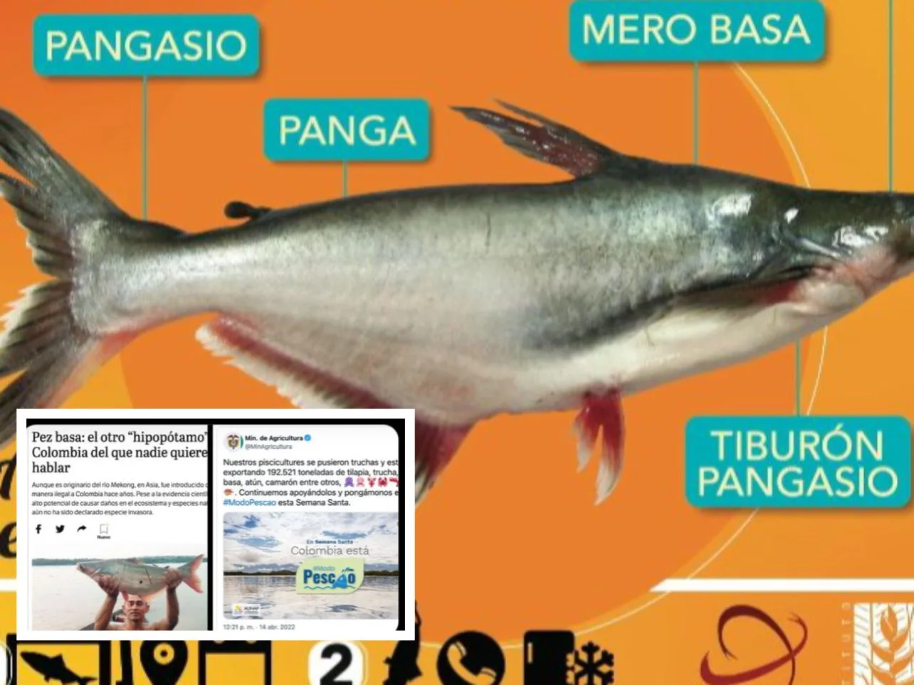 pez basa invasora río Magdalena