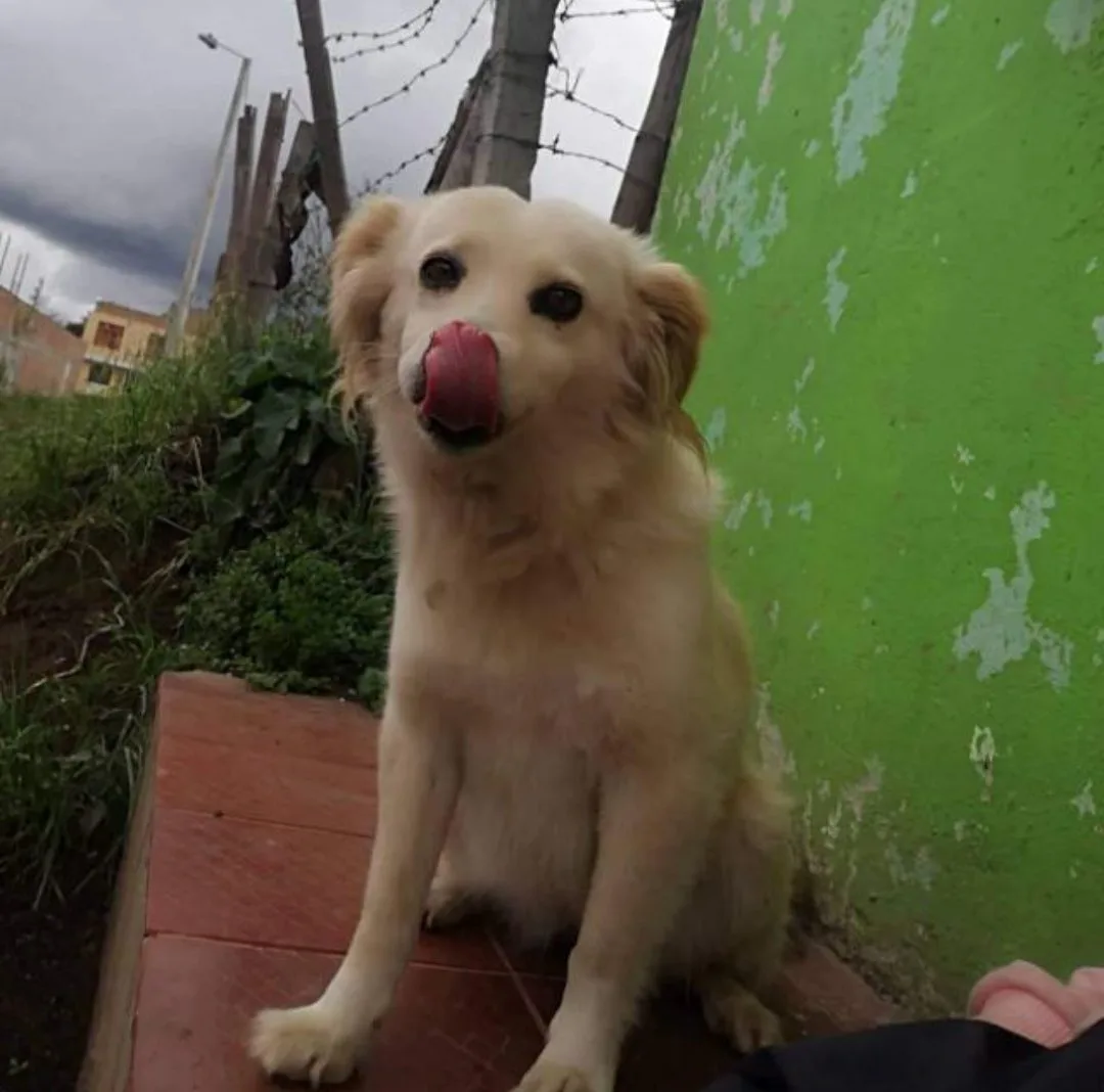 Luna accidente Pasto 