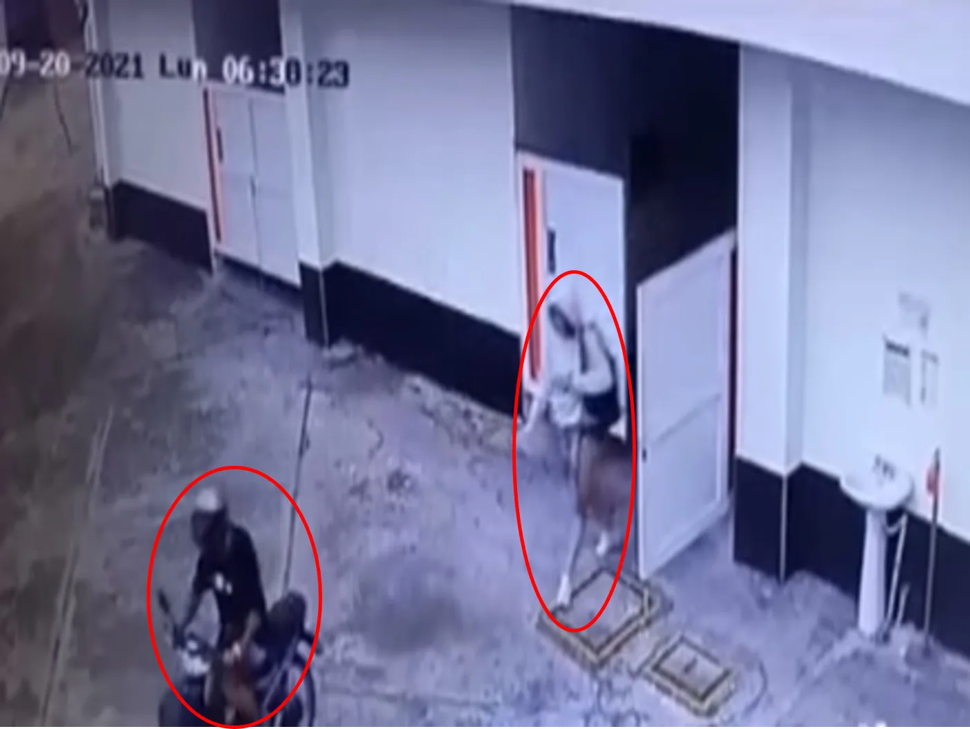En Palmira buscan pareja que se habría llevado el equipo de sonido de un motel, otro caso más