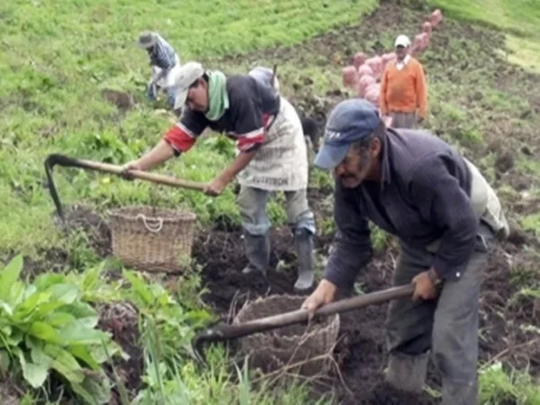 “No aguantamos más cierres de vías”, sector productivo de Nariño ante bloqueos