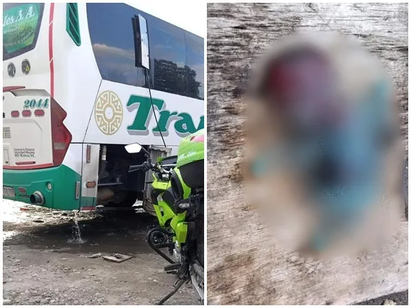 Dolorosa escena: Hallaron feto en el baño de un bus que cubría la ruta Nariño- Valle