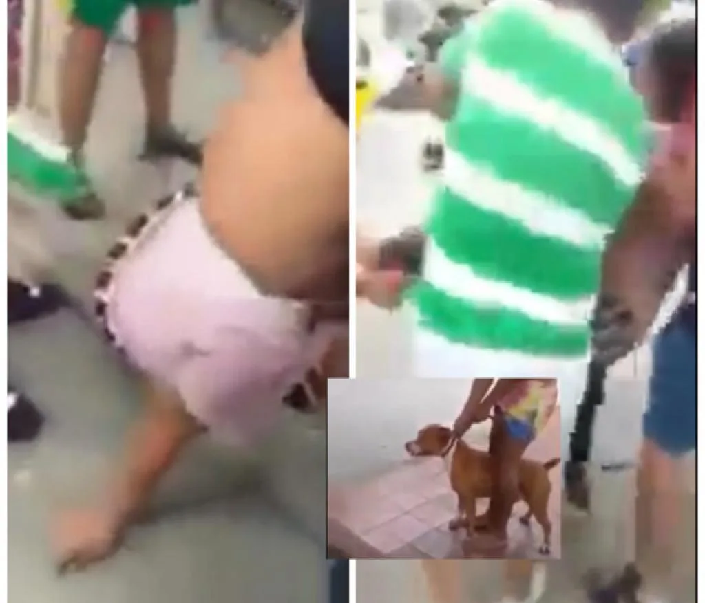 el perro mordió a una mujer en Barranquilla