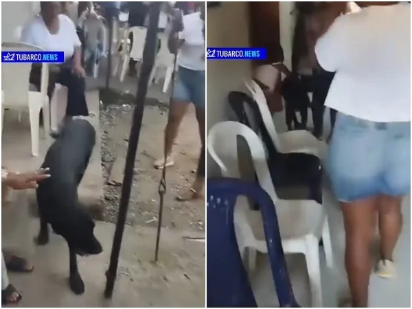 El regreso de ‘Teo’, único sobreviviente de la familia Andrade en el derrumbe vía Quibdó-Medellín