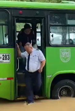 del MIO y