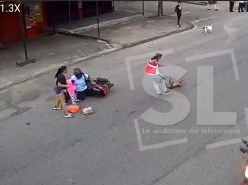 perro moto Villavicencio